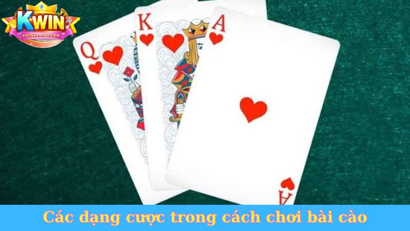 Các dạng cược trong cách chơi bài cào