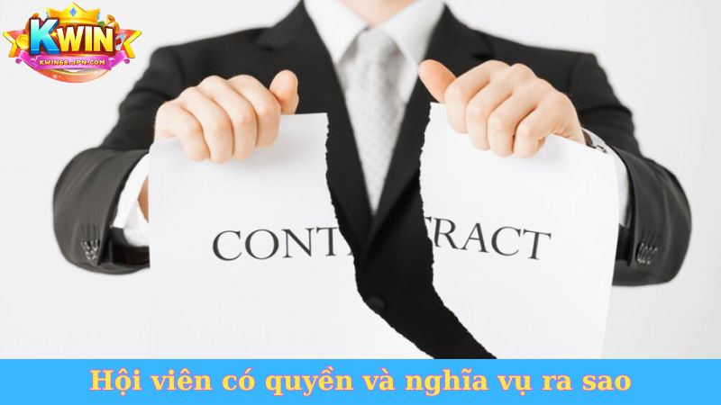 Hội viên có quyền và nghĩa vụ ra sao