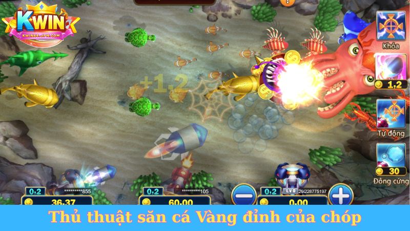 Thủ thuật săn cá Vàng đỉnh của chóp